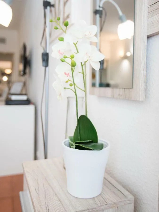 Sweet Spot Montechoro By Sweet Spot For Us Property Management Albufeira